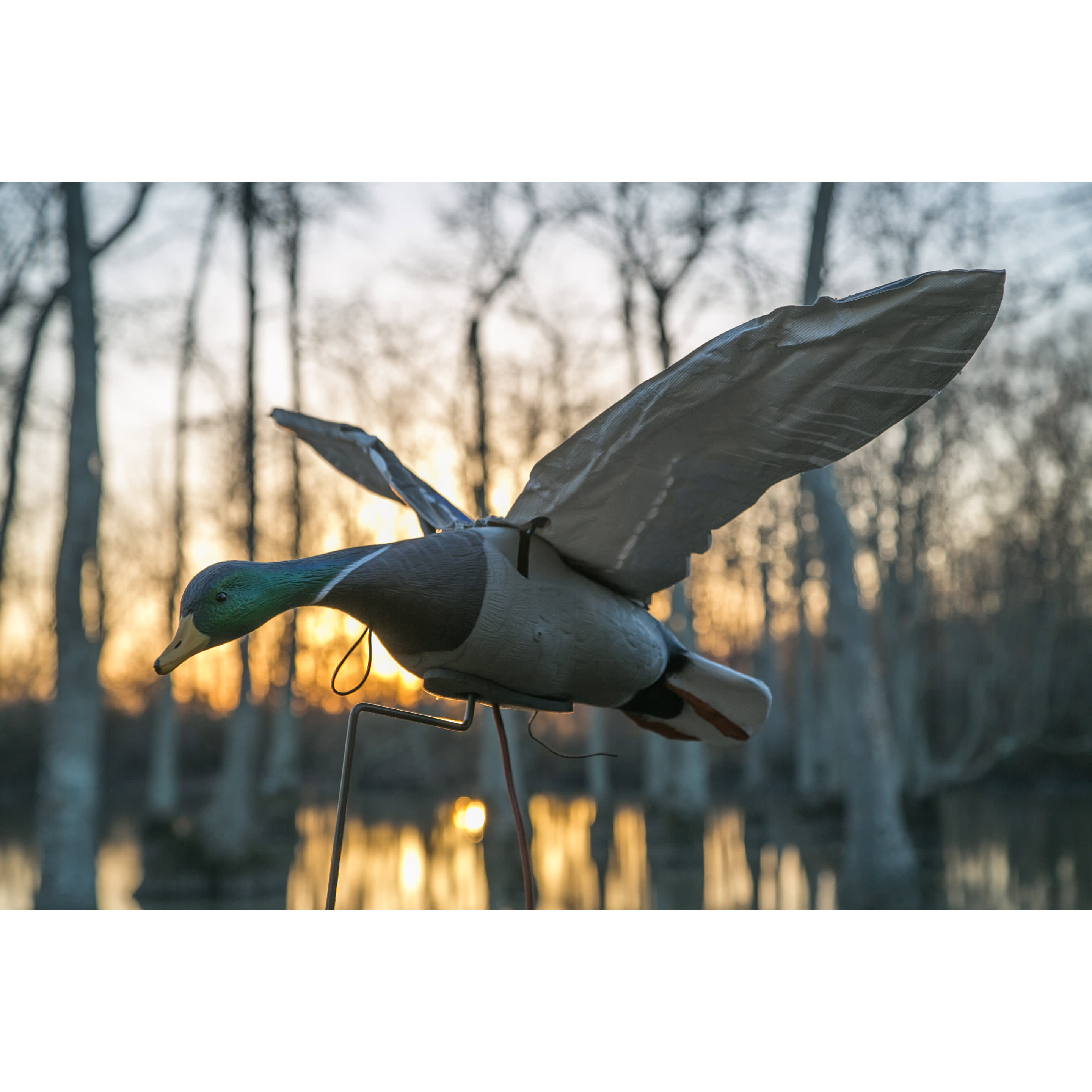 Higdon Clone Mallard Motorized Decoy