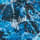 Tidal Sands