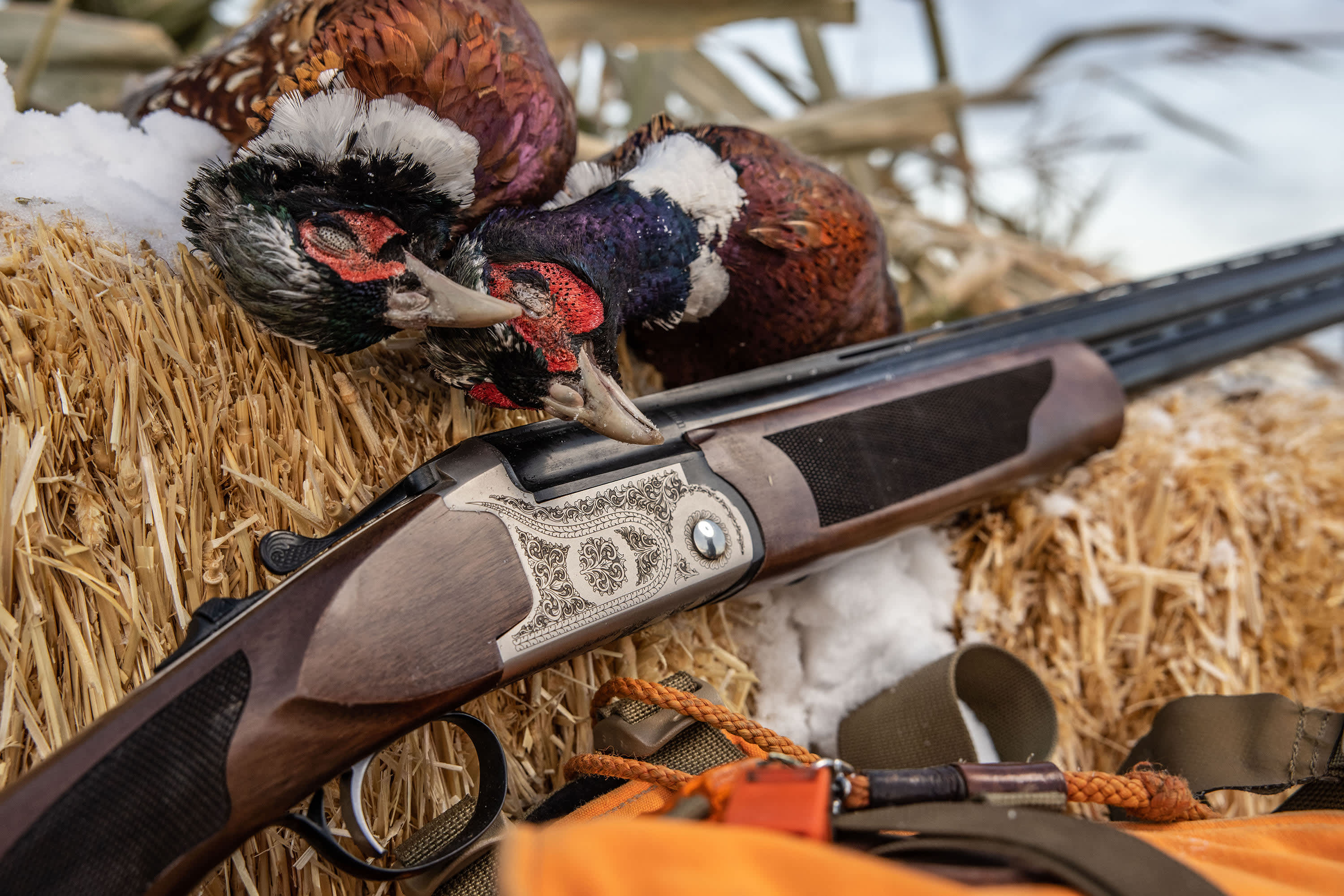 Pointer Acrius Over/Under Shotgun Cabela's Canada