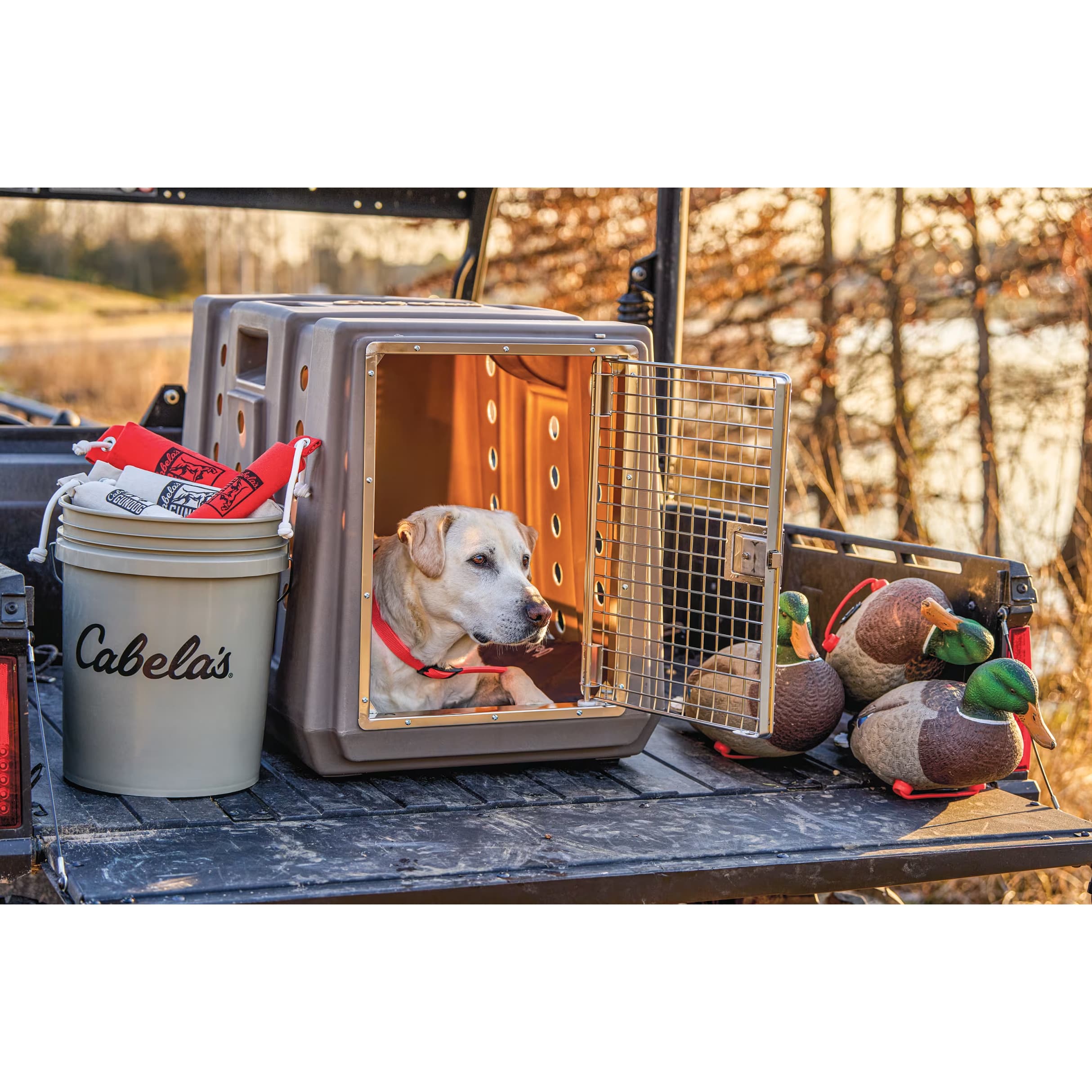 Cabela s GunDog Intermediate Dog Kennel Cabela s Canada