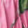 Conceal Pink