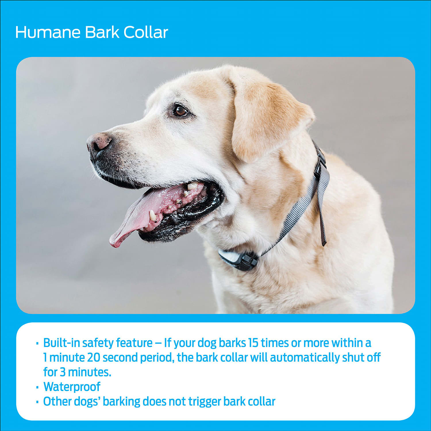 Cabelas bark collar store