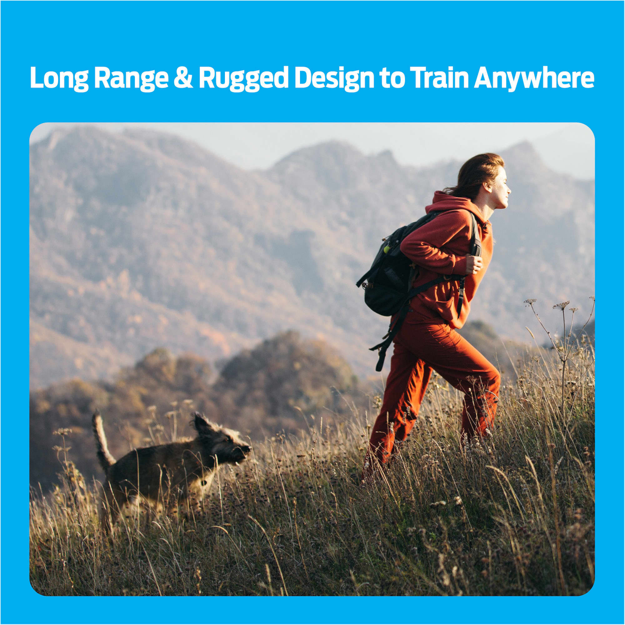 Premier Pet 600 Yard Trainer Cabela's Canada