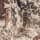 Strata