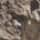 Strata