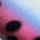 Rainbow Trout