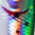Rainbow Trout