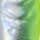 Chartreuse/Holo Silver