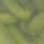 Chartreuse