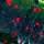 Watermelon/Large Black & Small Red Flake