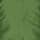 Cactus Green