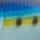 Sardine
