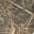 Realtree Max 7