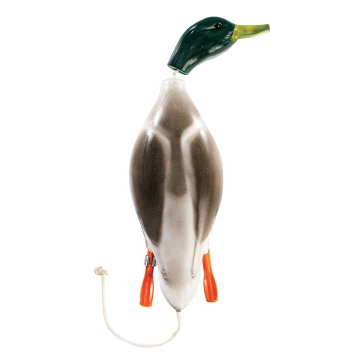 Dokken dead fowl hot sale mallard