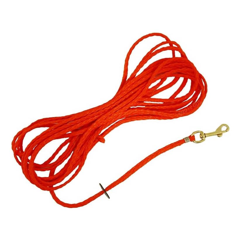 30 foot discount training leash