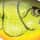 Chartreuse Rootbeer Crawdad