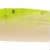 Chartreuse Shad