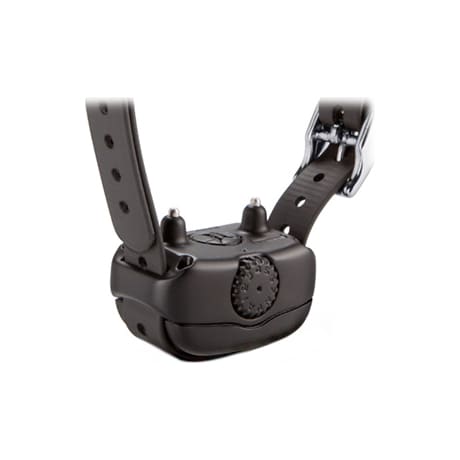 Garmin® BarkLimiter™ Deluxe Dog Collar - Back View