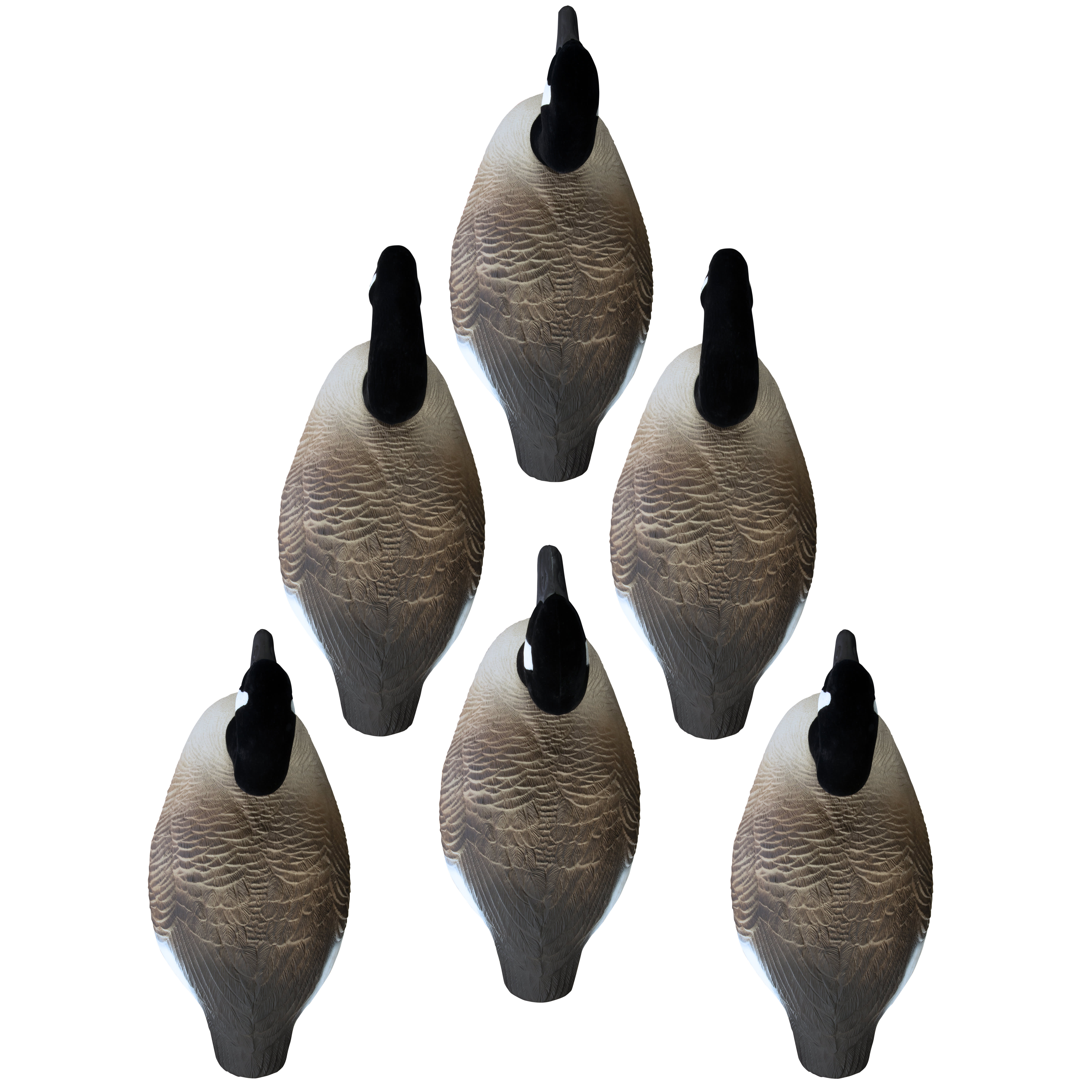 Higdon Standard Canada Goose Shells