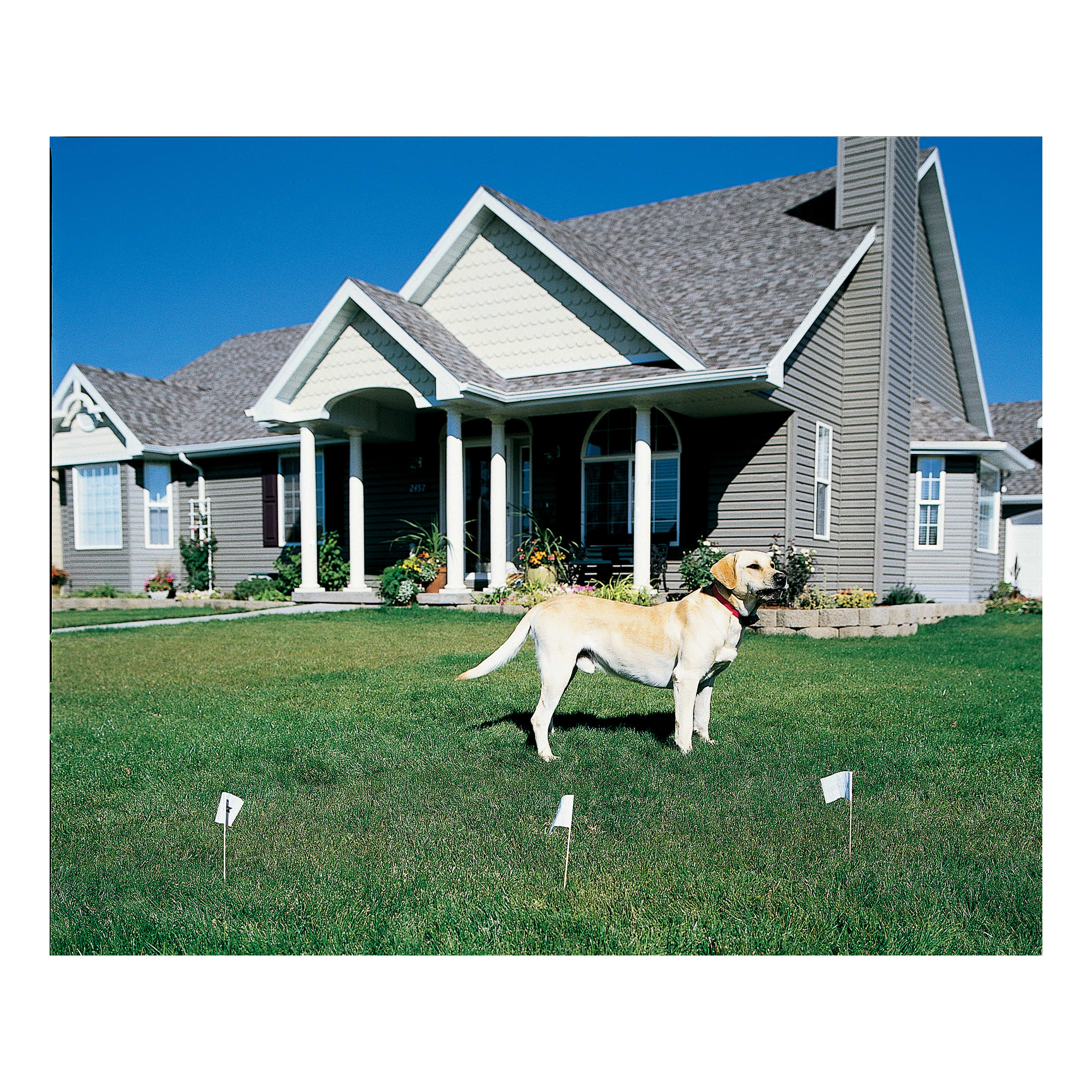 PetSafe Wireless Fence Pet Containment System, Covers up to 1/2