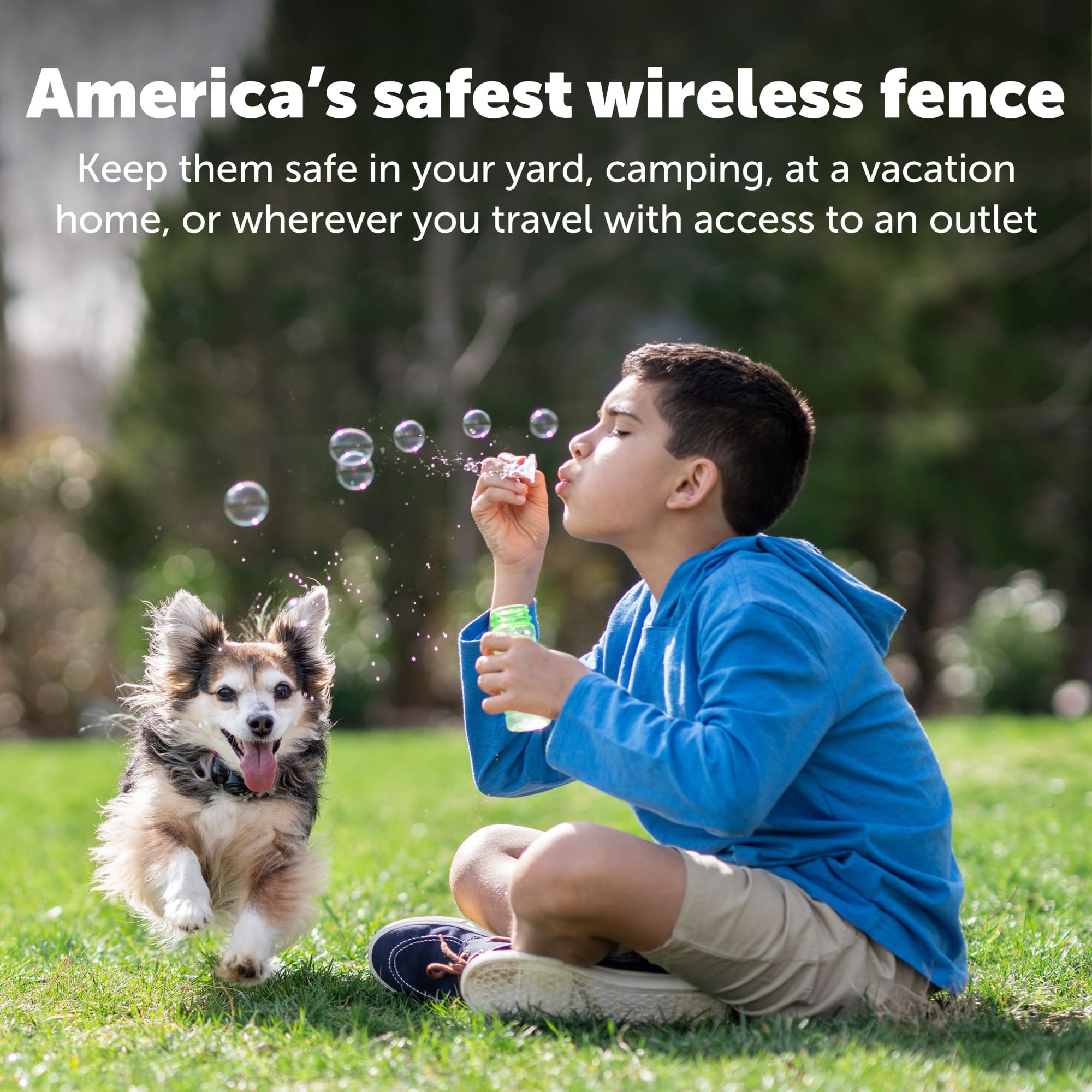 Cabelas wireless dog fence discount