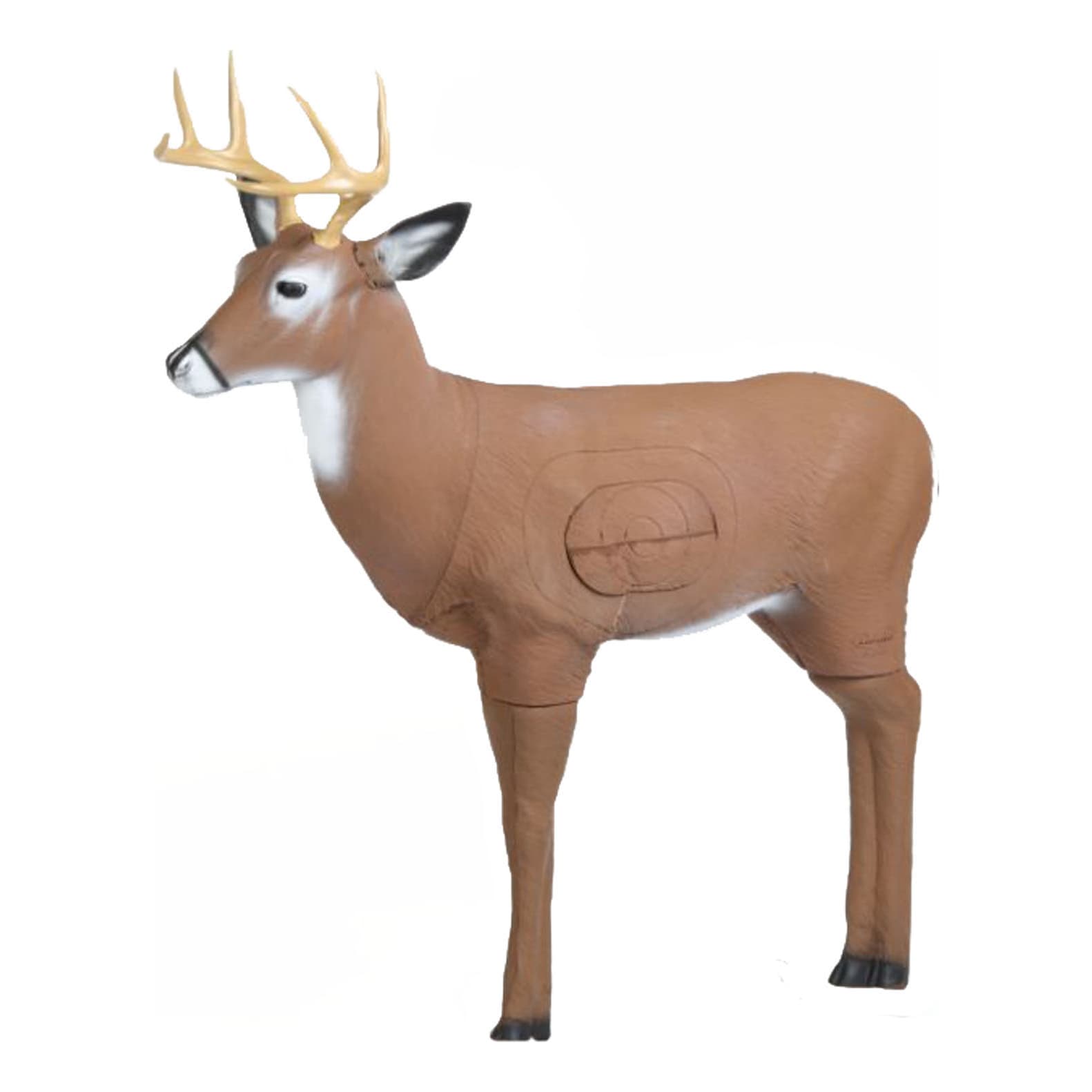 Cabela's 3-D Targets - Deluxe Whitetail