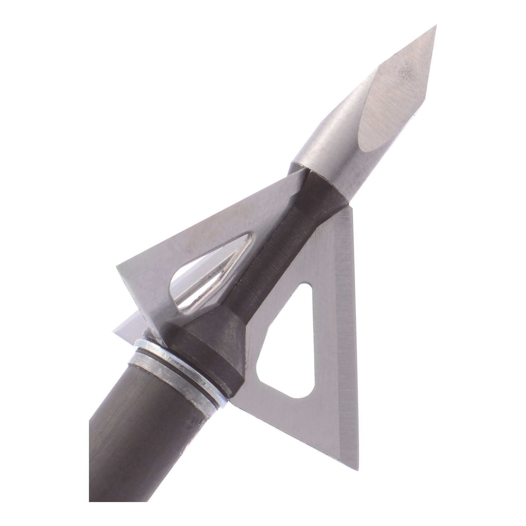 Wasp broadheads hot sale