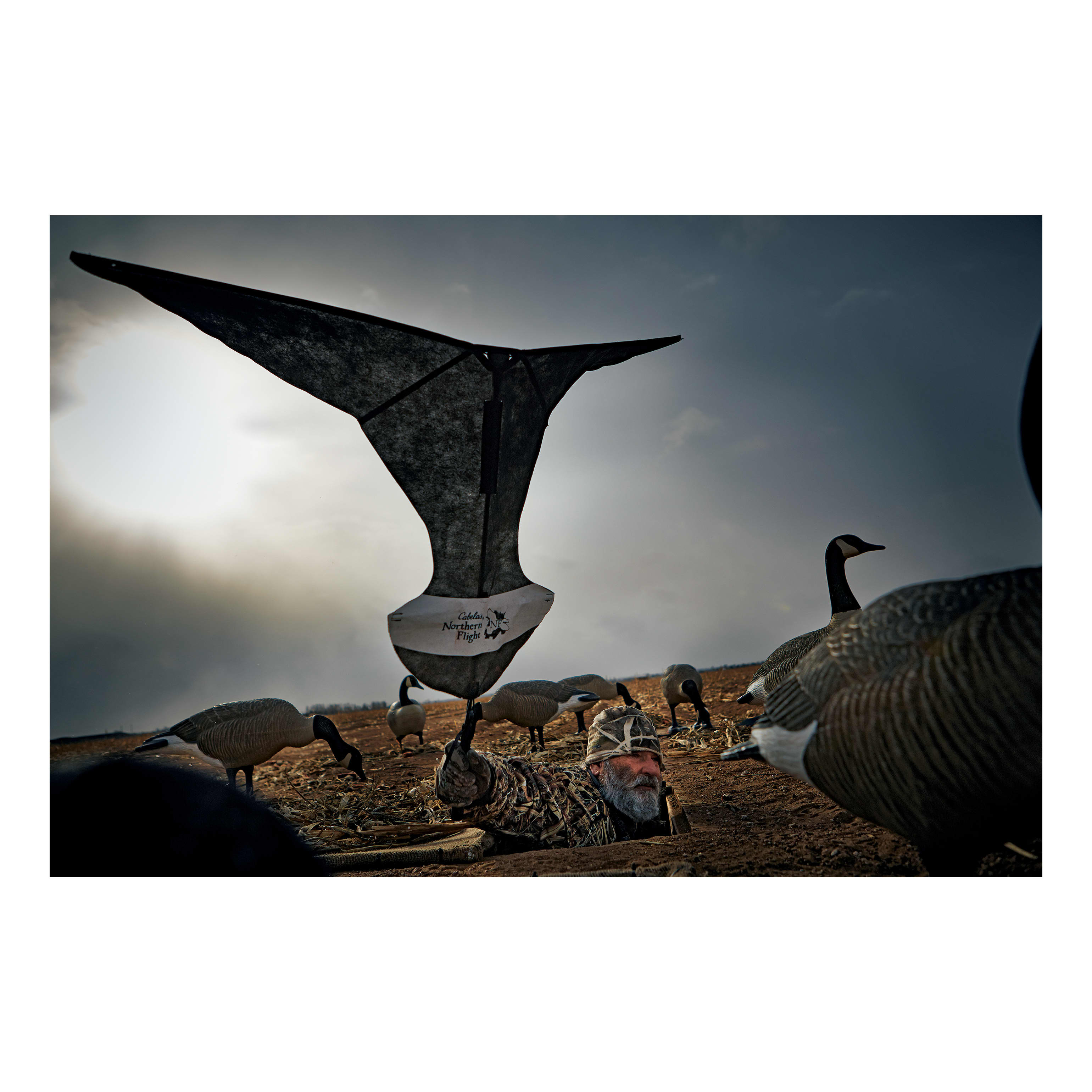Northern Flight Canada Goose Flag Cabela s Canada