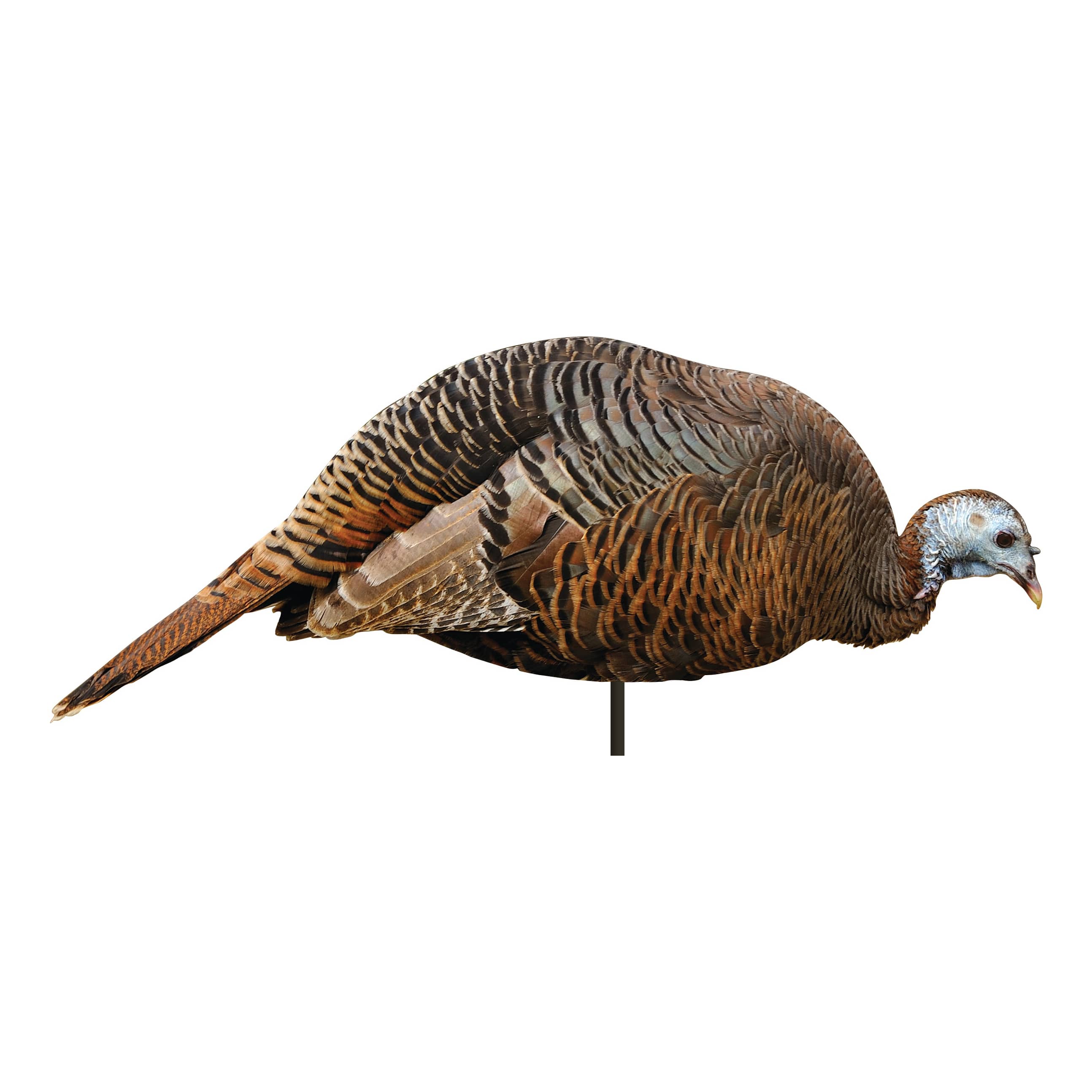 Montana Dinner Belle Turkey Decoy Cabela's Canada