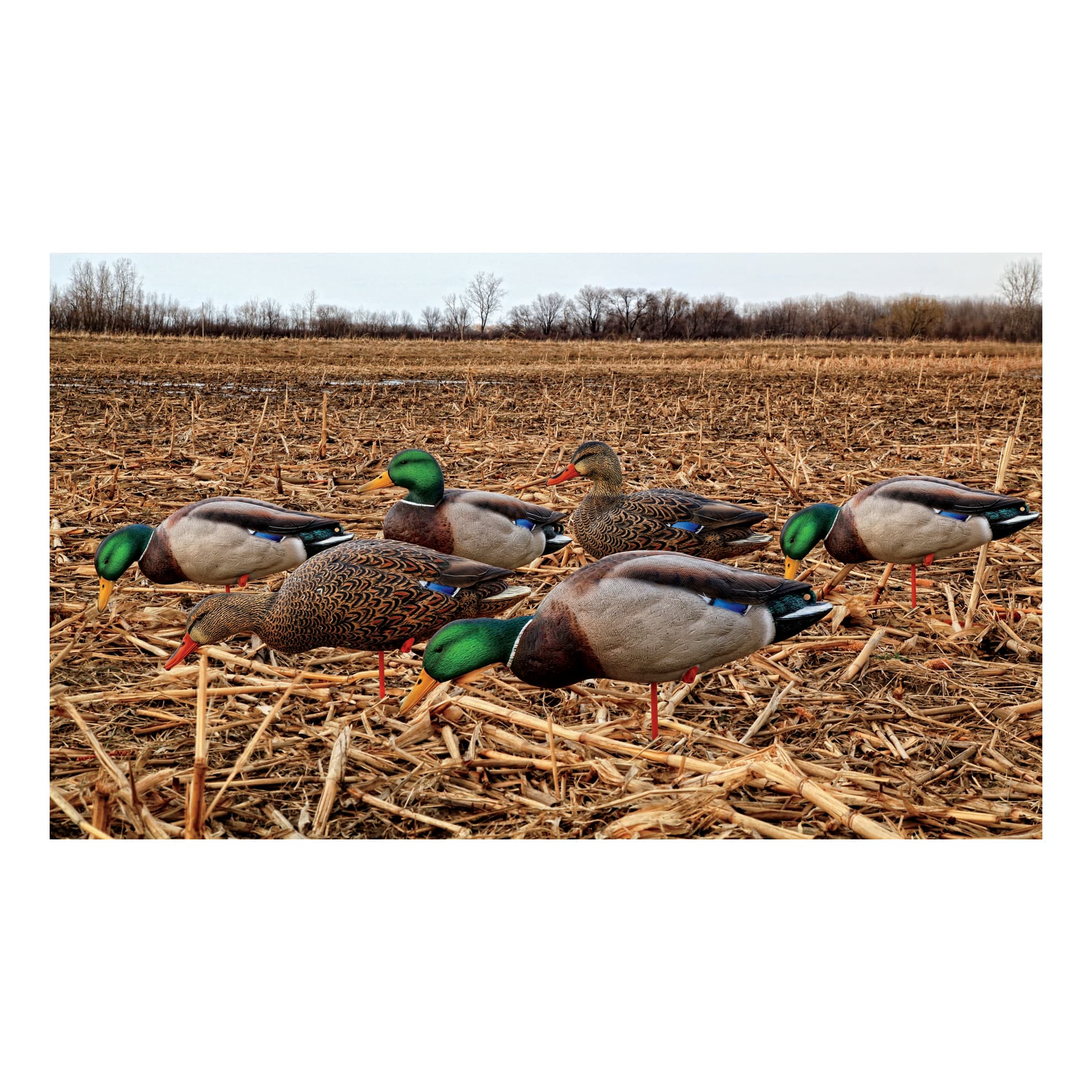 Hunting decoys hot sale