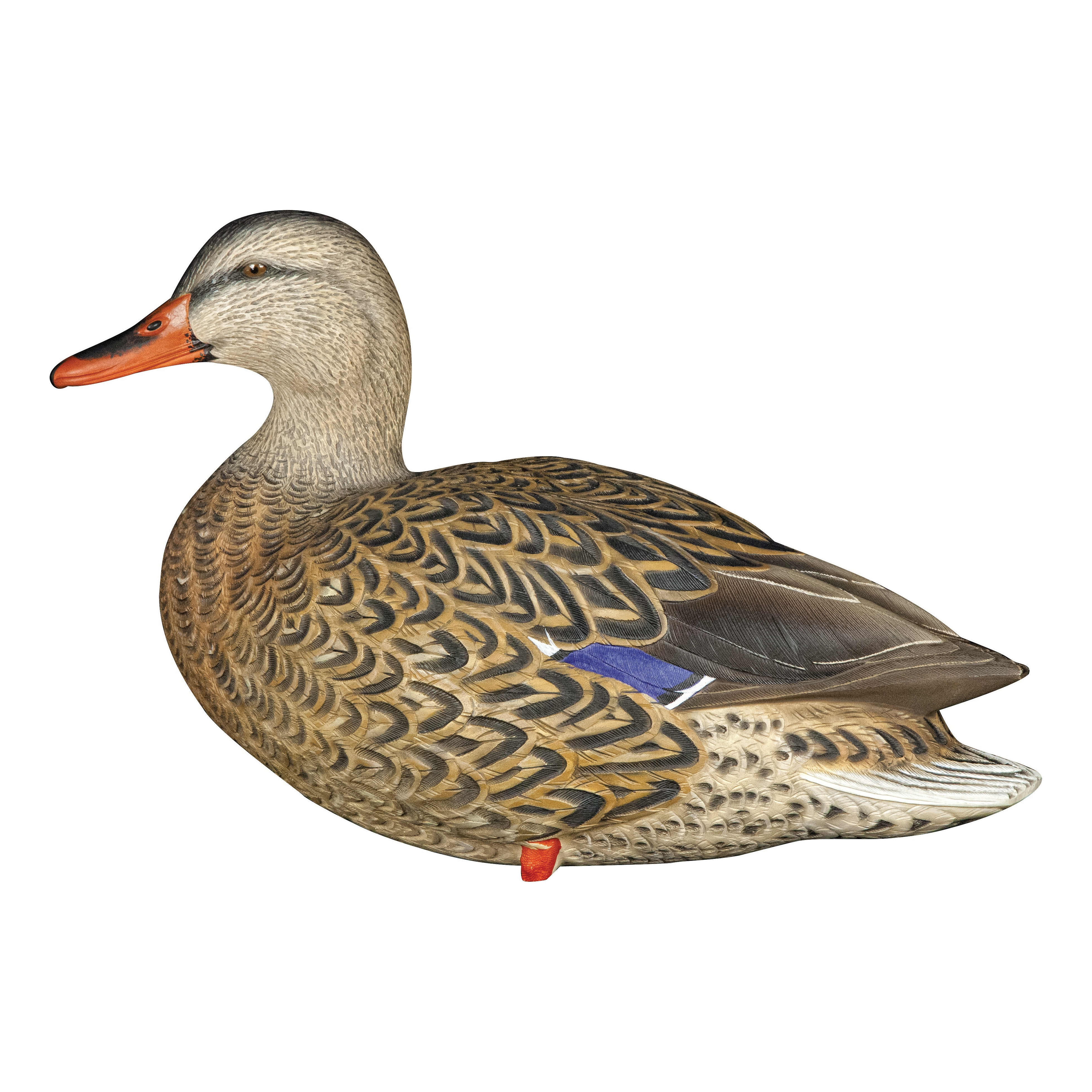 Avian-X® Full-Body Mallard Decoys with Decoy Bag