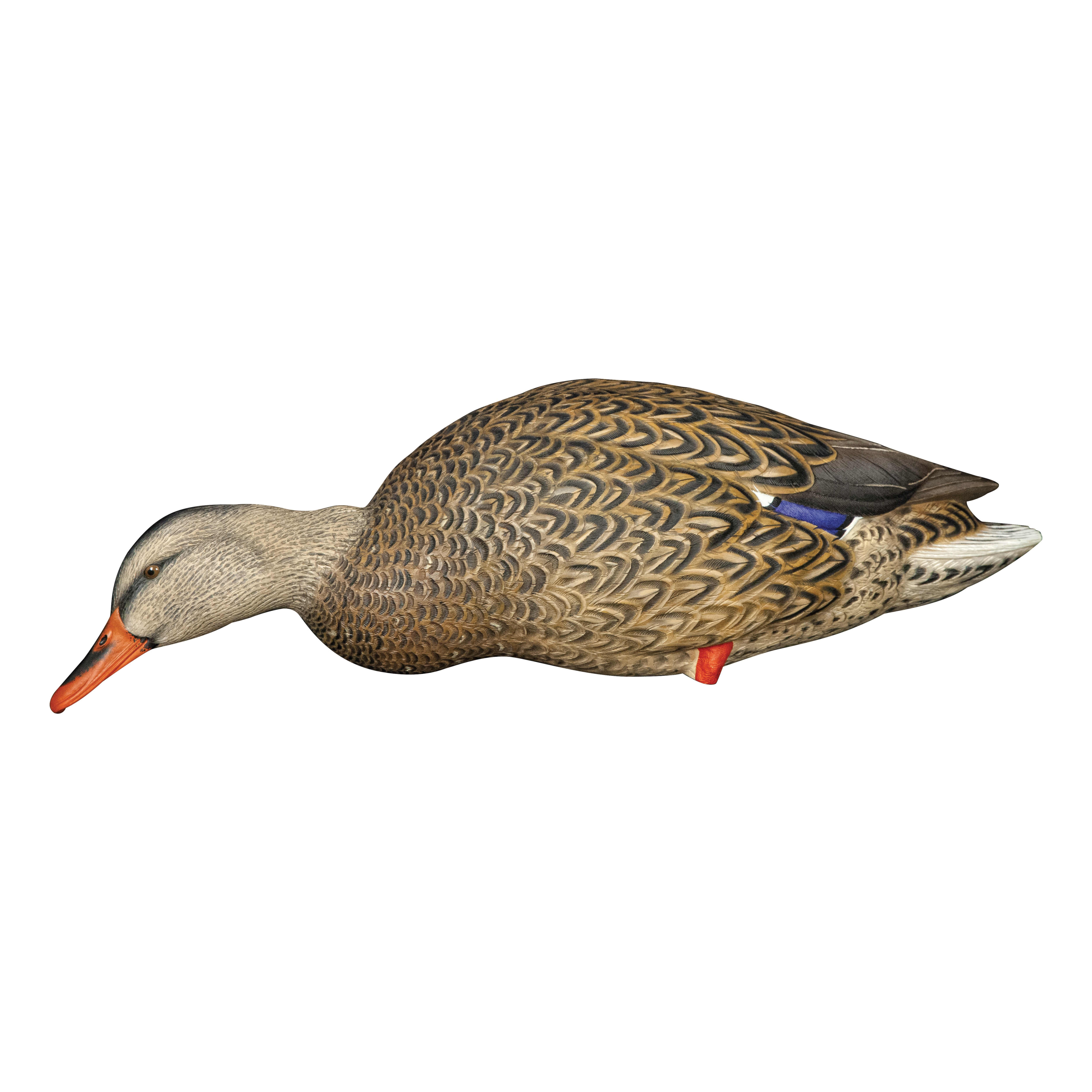 Avian-X® Full-Body Mallard Decoys with Decoy Bag