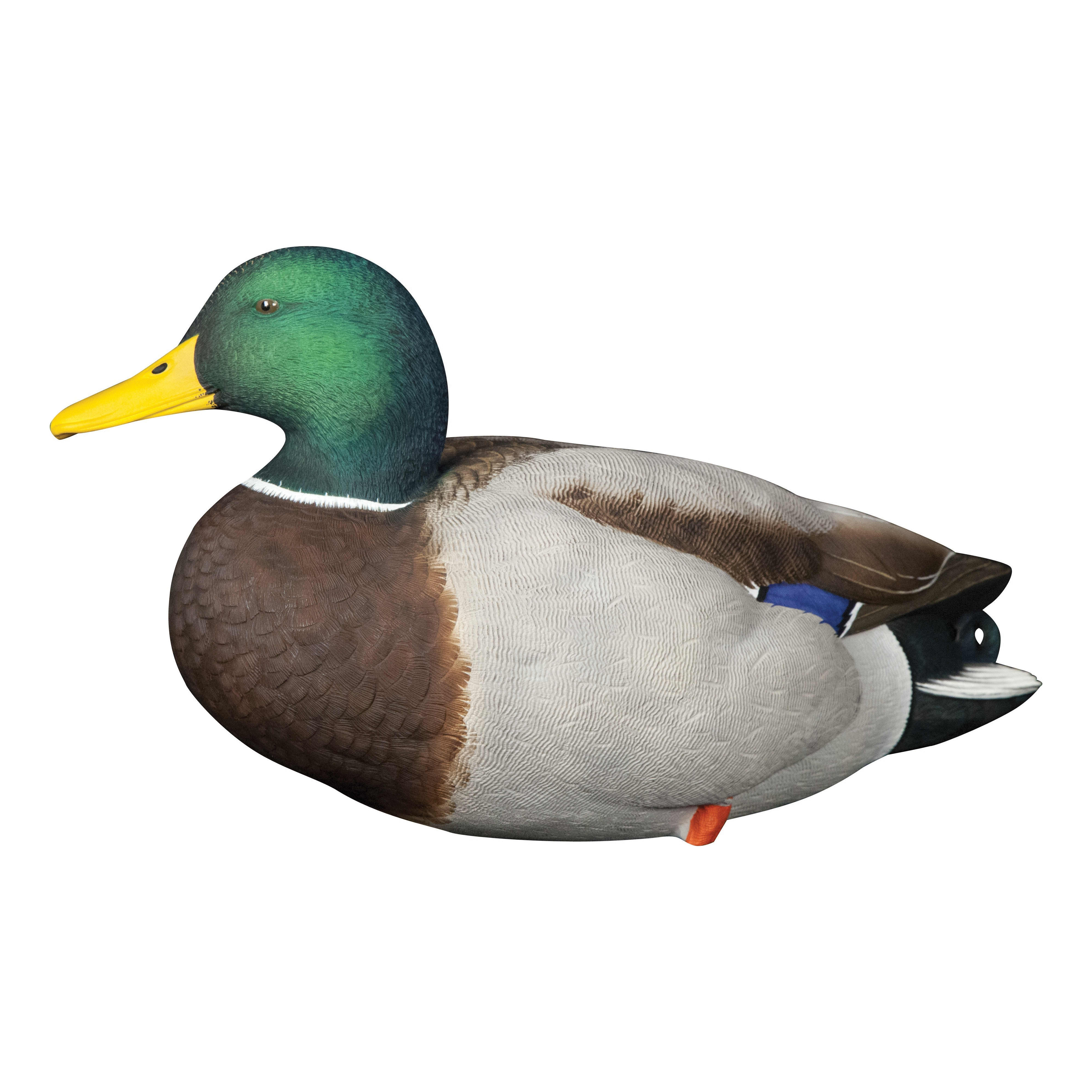 Avian-X® Full-Body Mallard Decoys with Decoy Bag