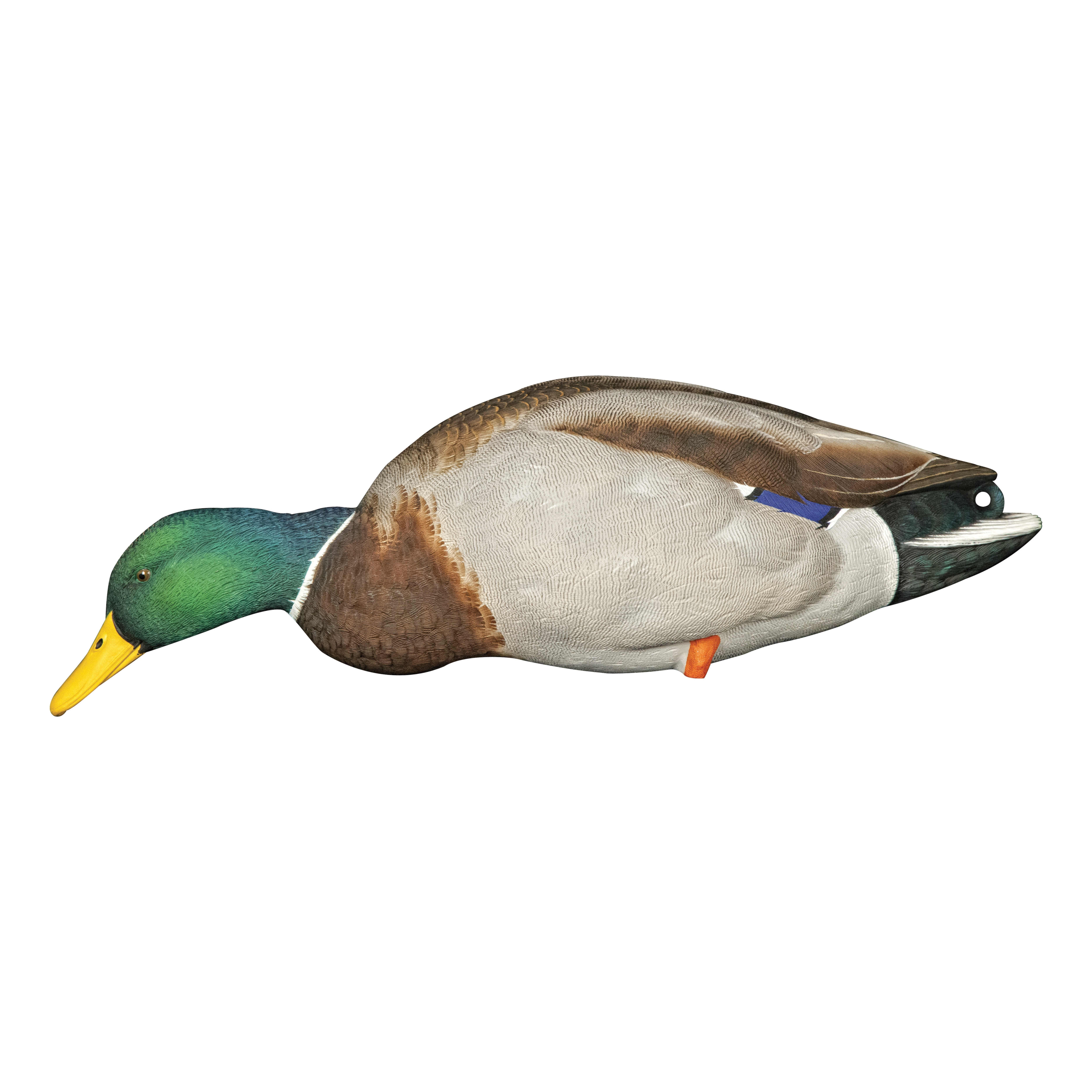 Avian-X® Full-Body Mallard Decoys with Decoy Bag