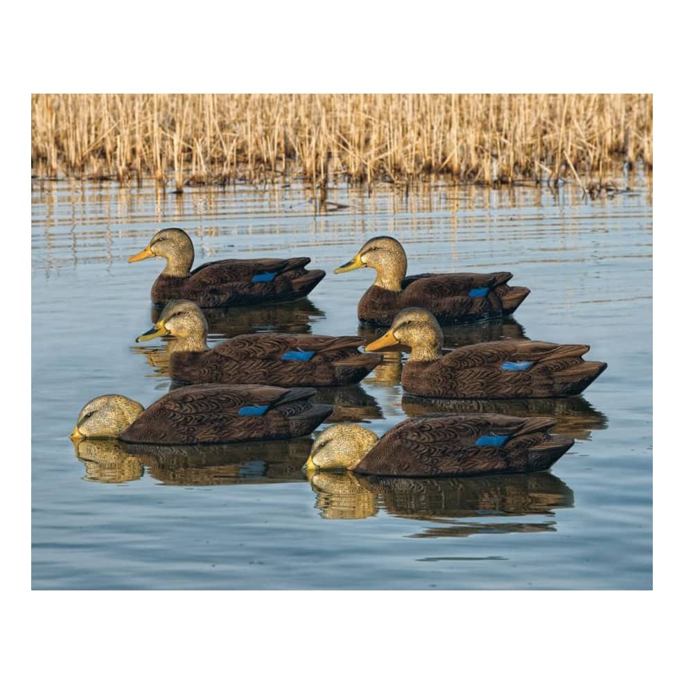 Avian-X® Black Duck Decoys - Six-Pack | Cabela's Canada