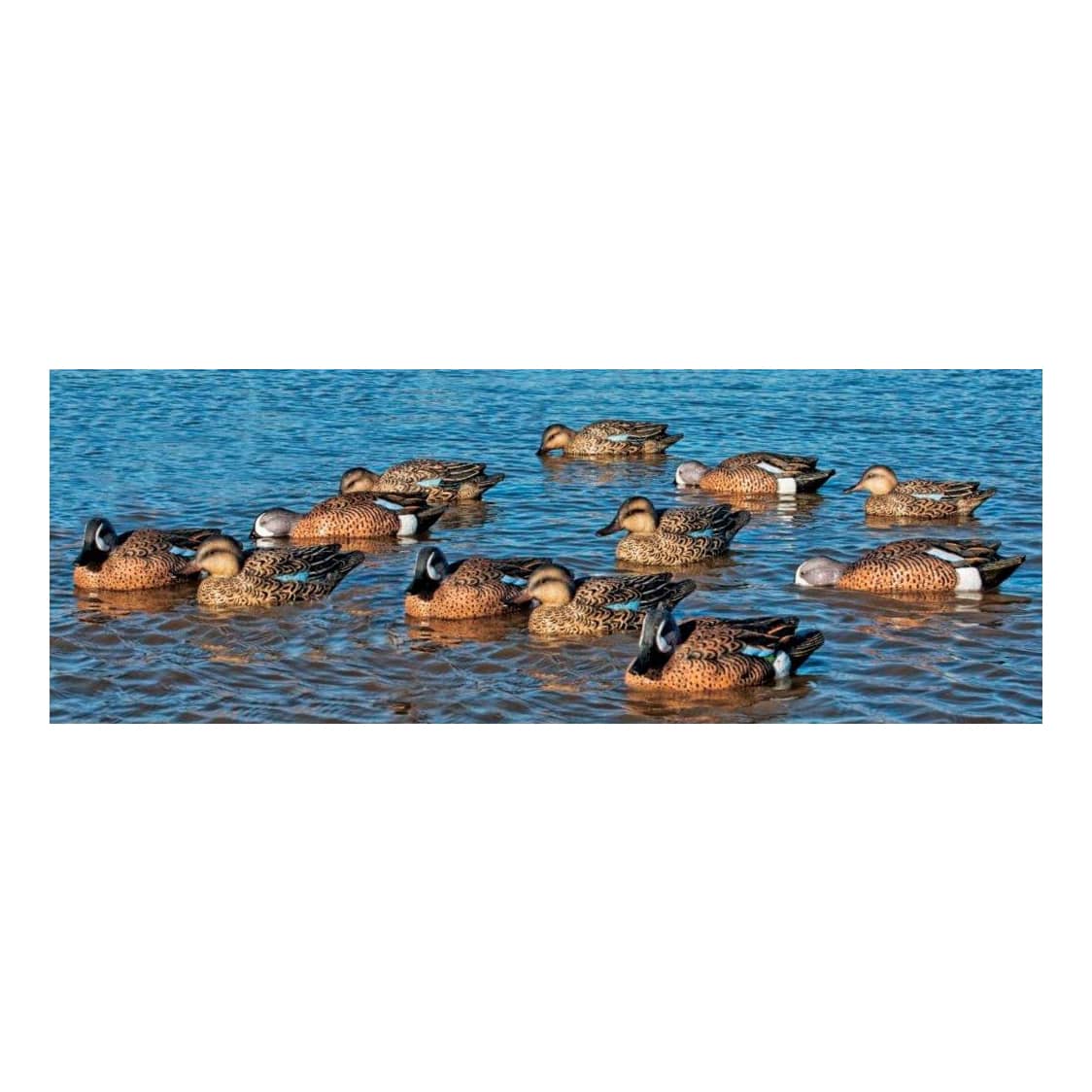 AvianX Blue Wing Teal Decoys SixPack Cabela's Canada