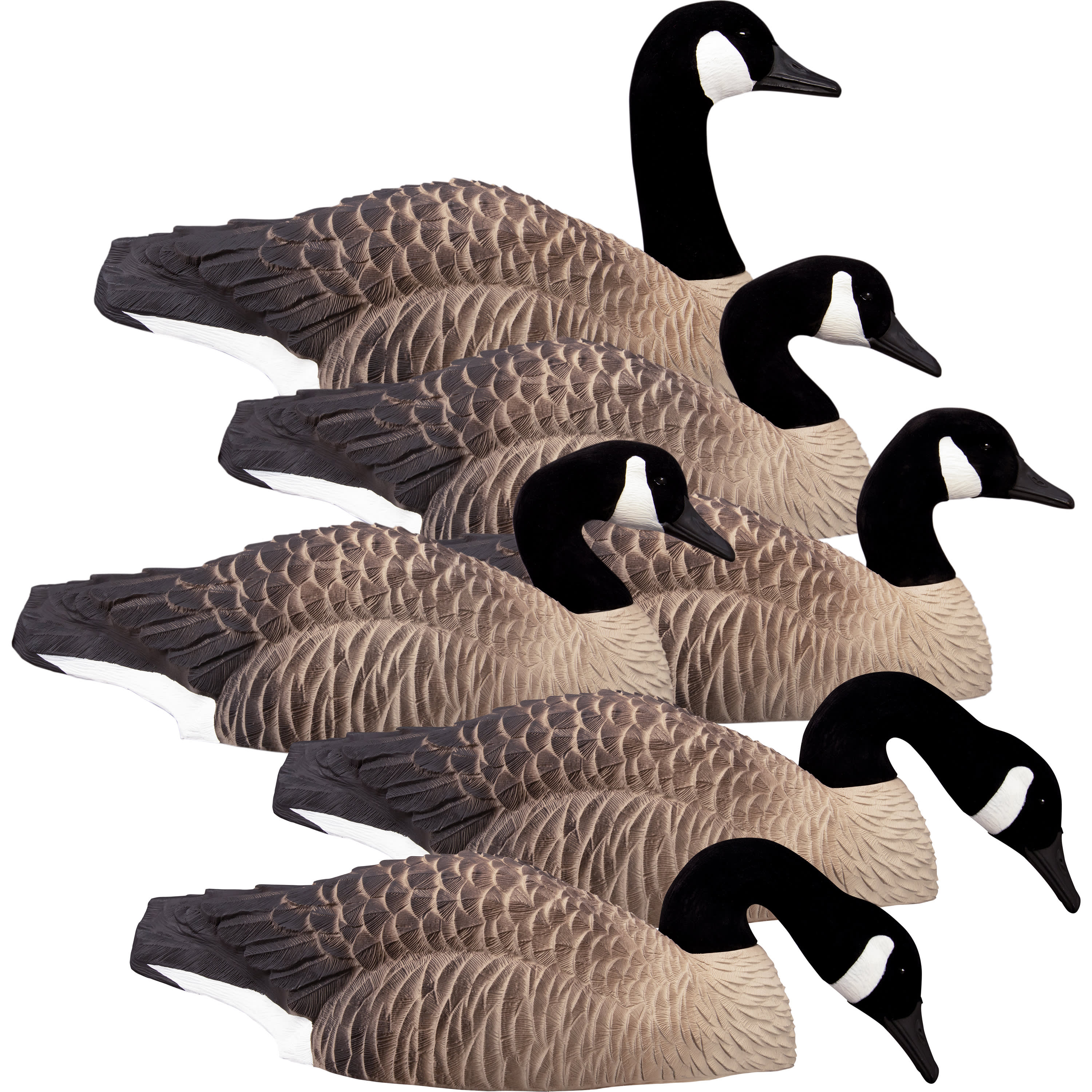 Higdon Magnum HalfShell Canada Goose Decoys Cabela's Canada