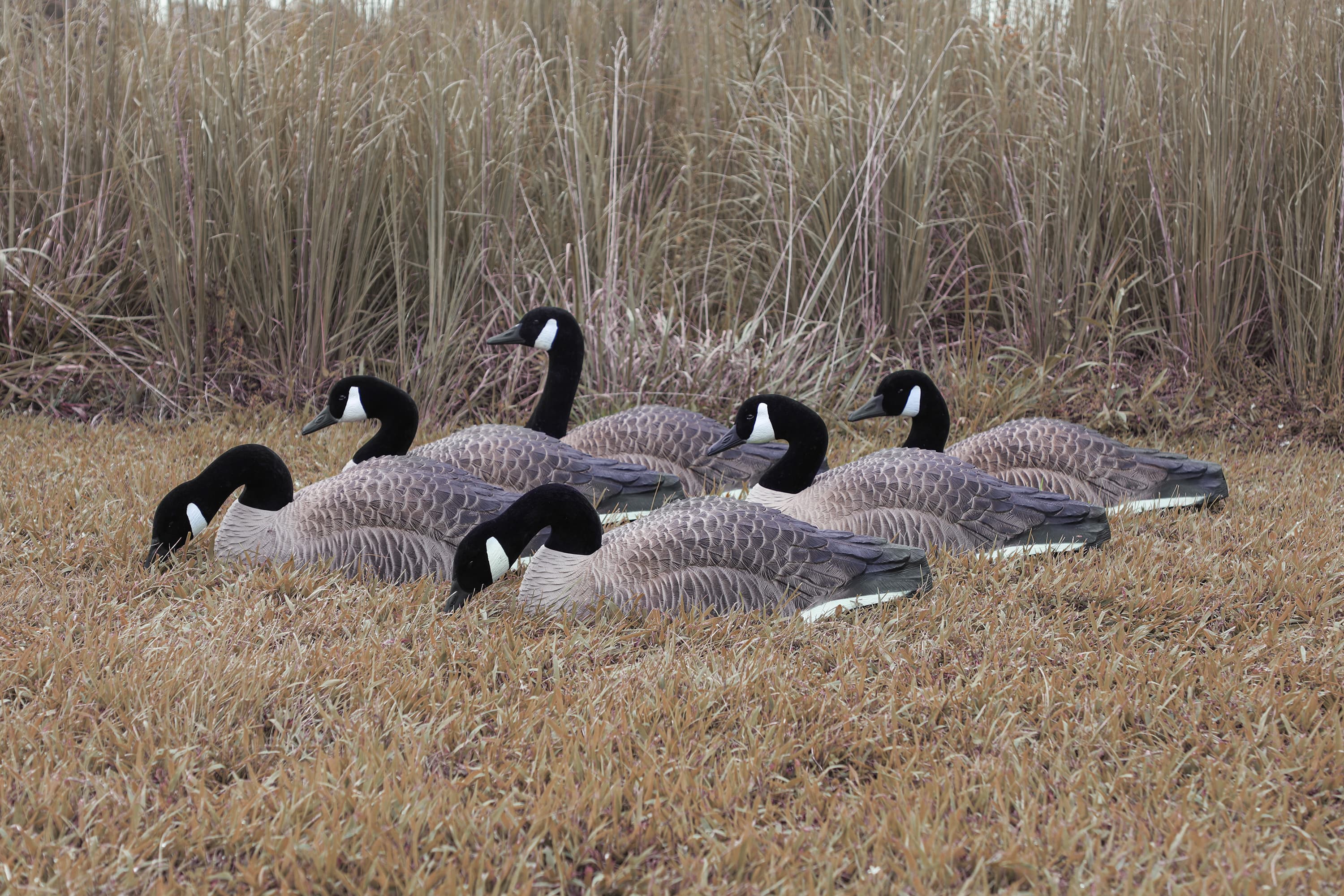 Higdon Magnum Half-Shell Canada Goose Decoys