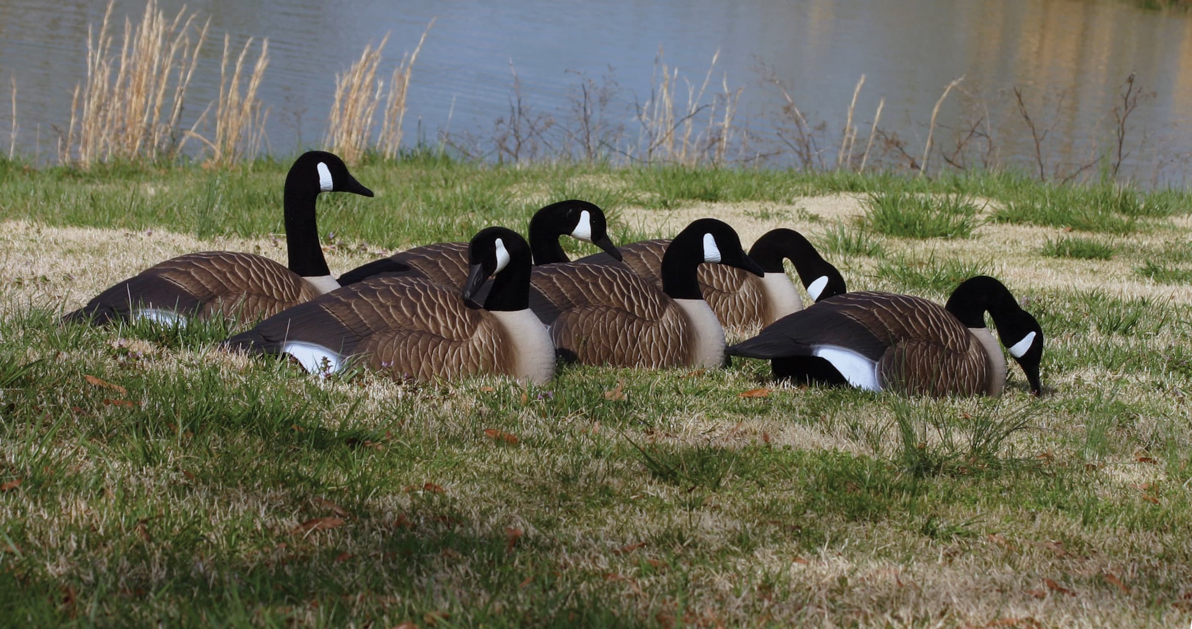 Higdon Magnum Half-Shell Canada Goose Decoys