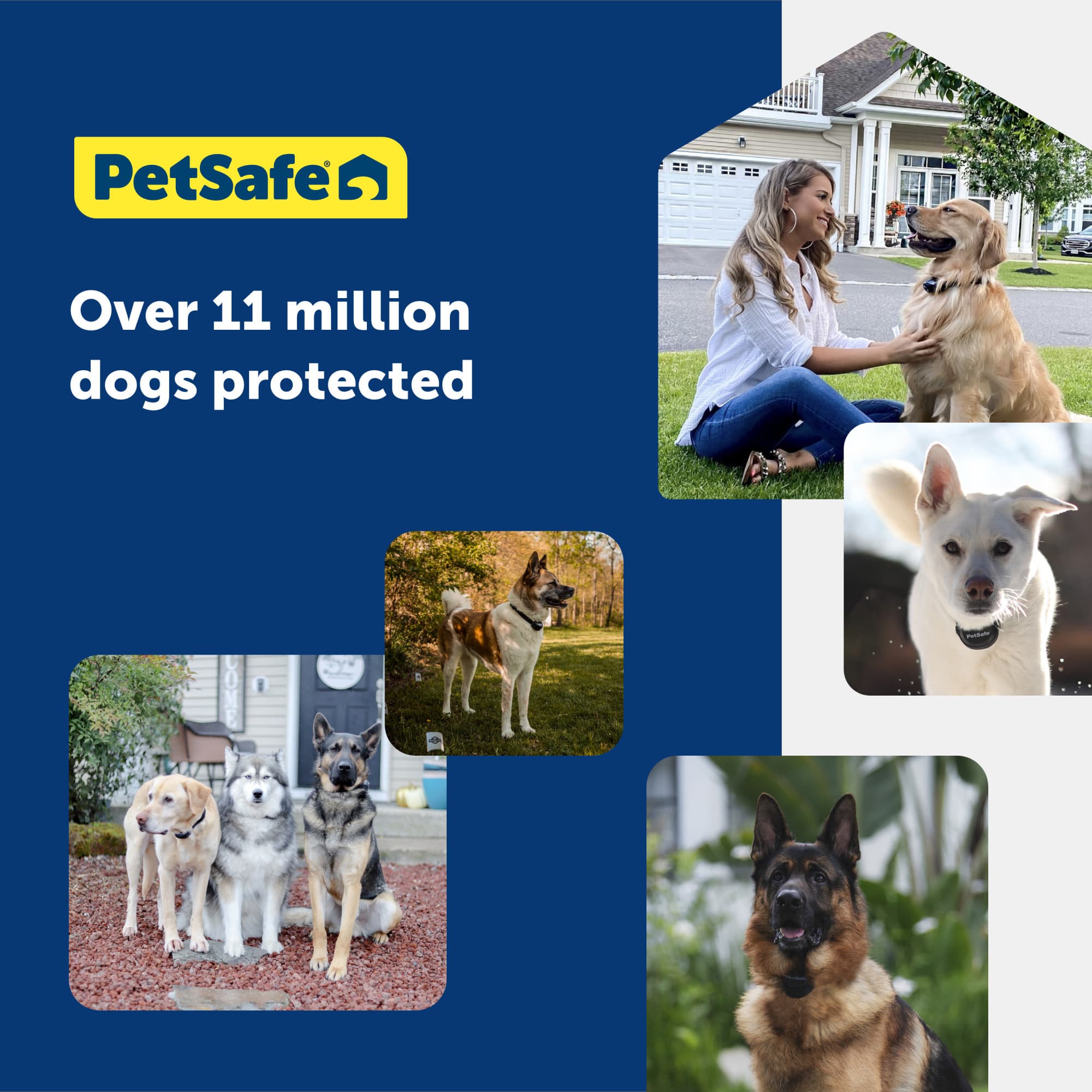PetSafe® Stay & Play® Compact Wireless Fence Cabela's Canada