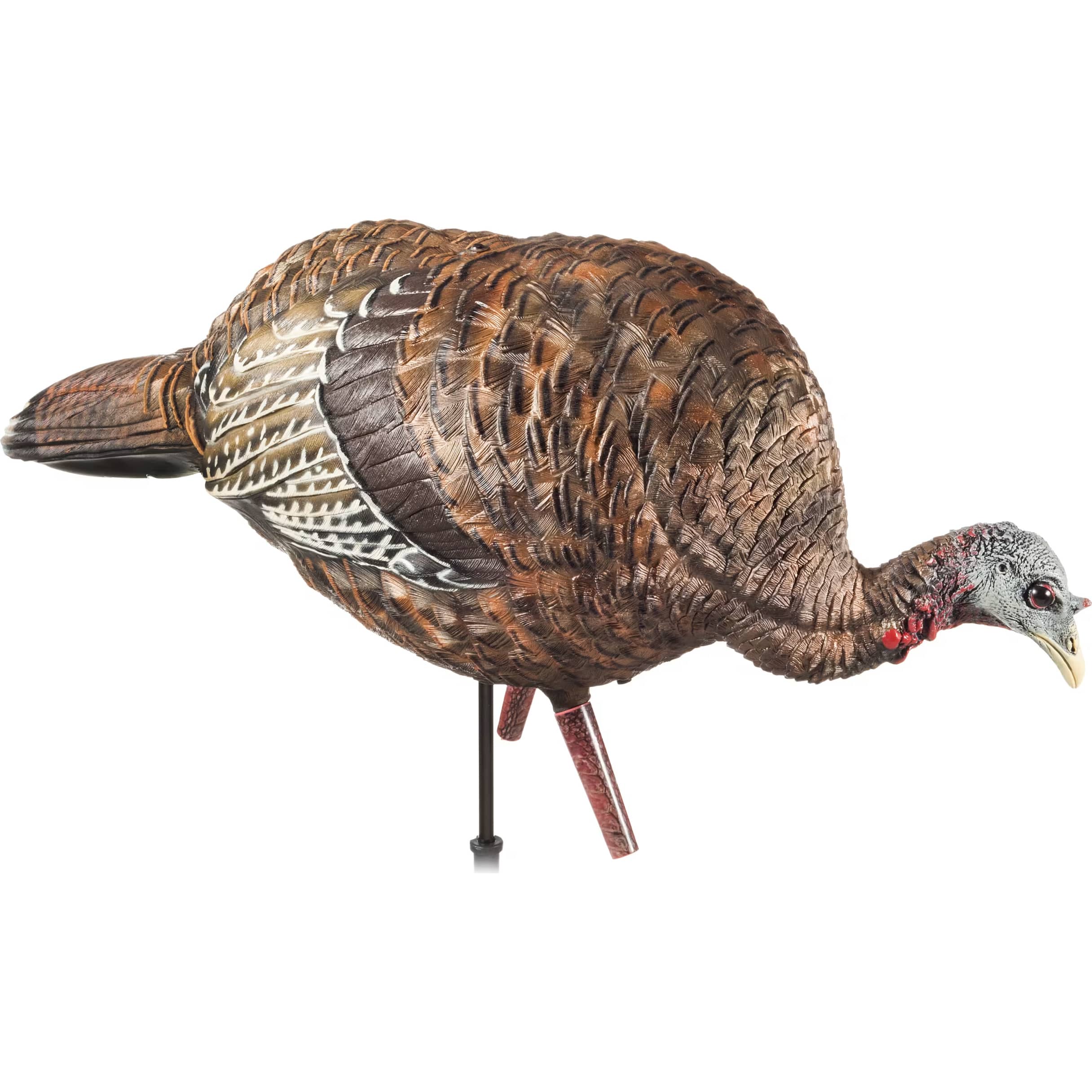 AvianX® LCD Feeder Hen Turkey Decoy Cabela's Canada