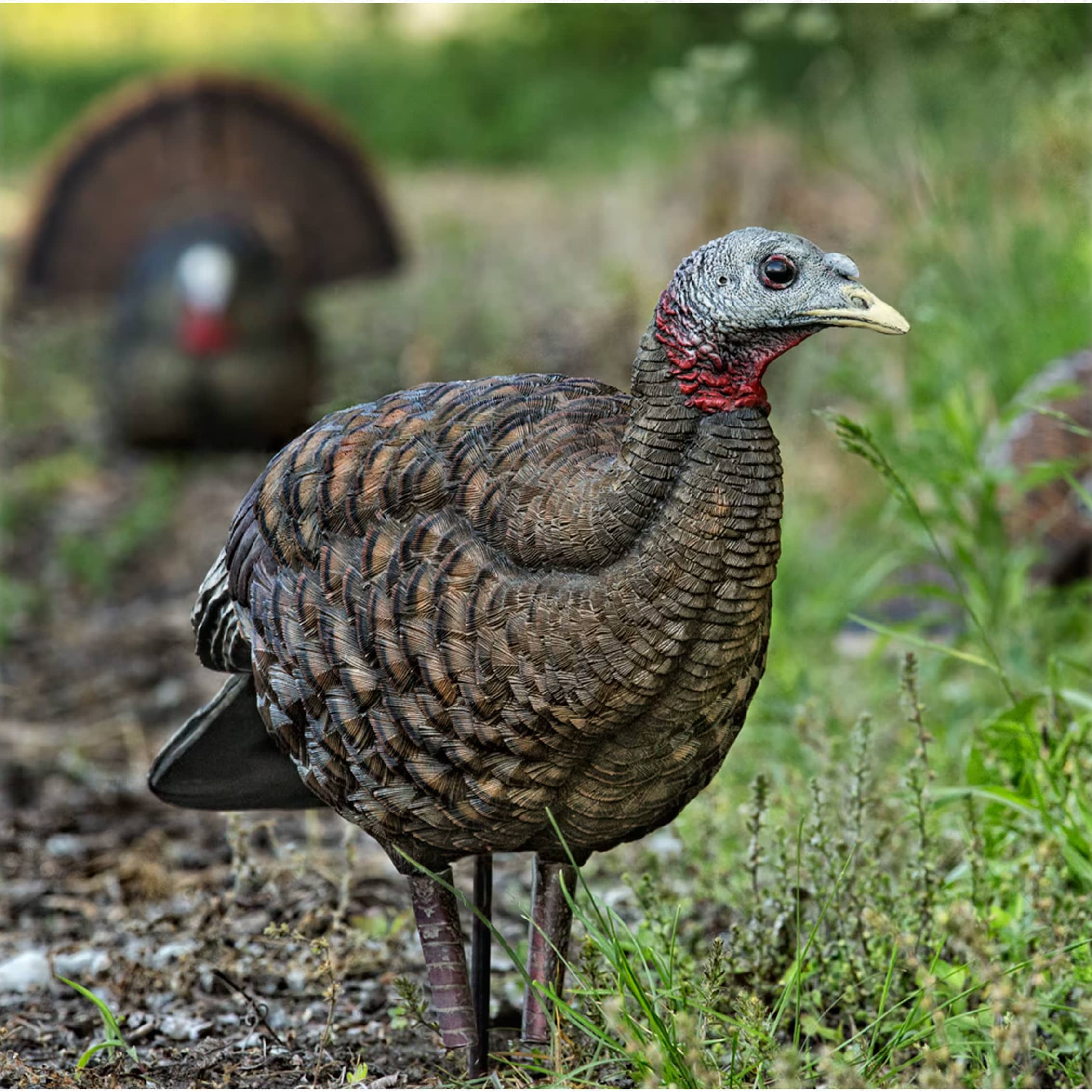 Avian-X® LCD Breeder Hen Turkey Decoy | Cabela's Canada