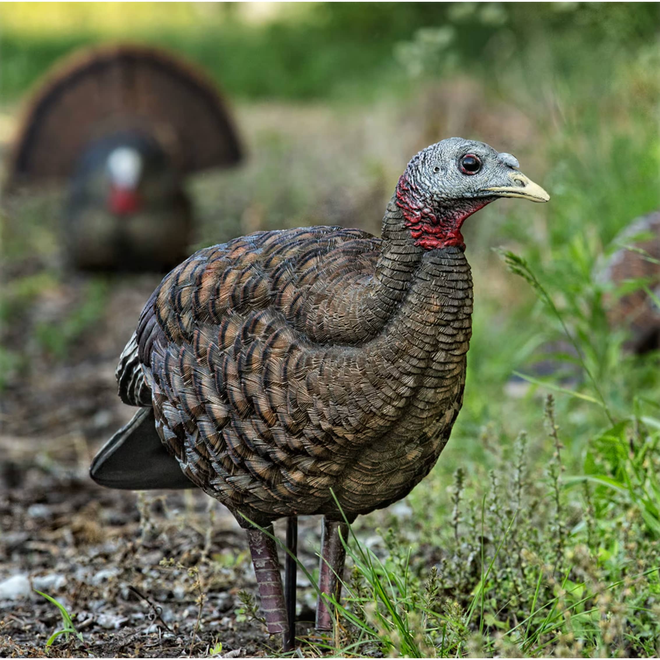 Avian-X® LCD Breeder Hen Turkey Decoy