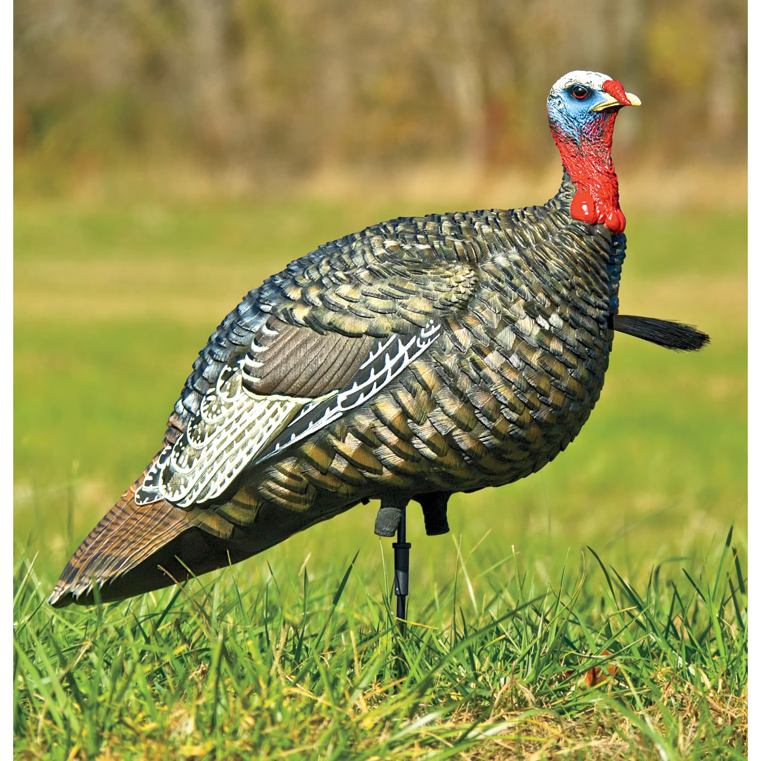 AvianX® Lifelike Collapsible Jake Turkey Decoy Cabela's Canada