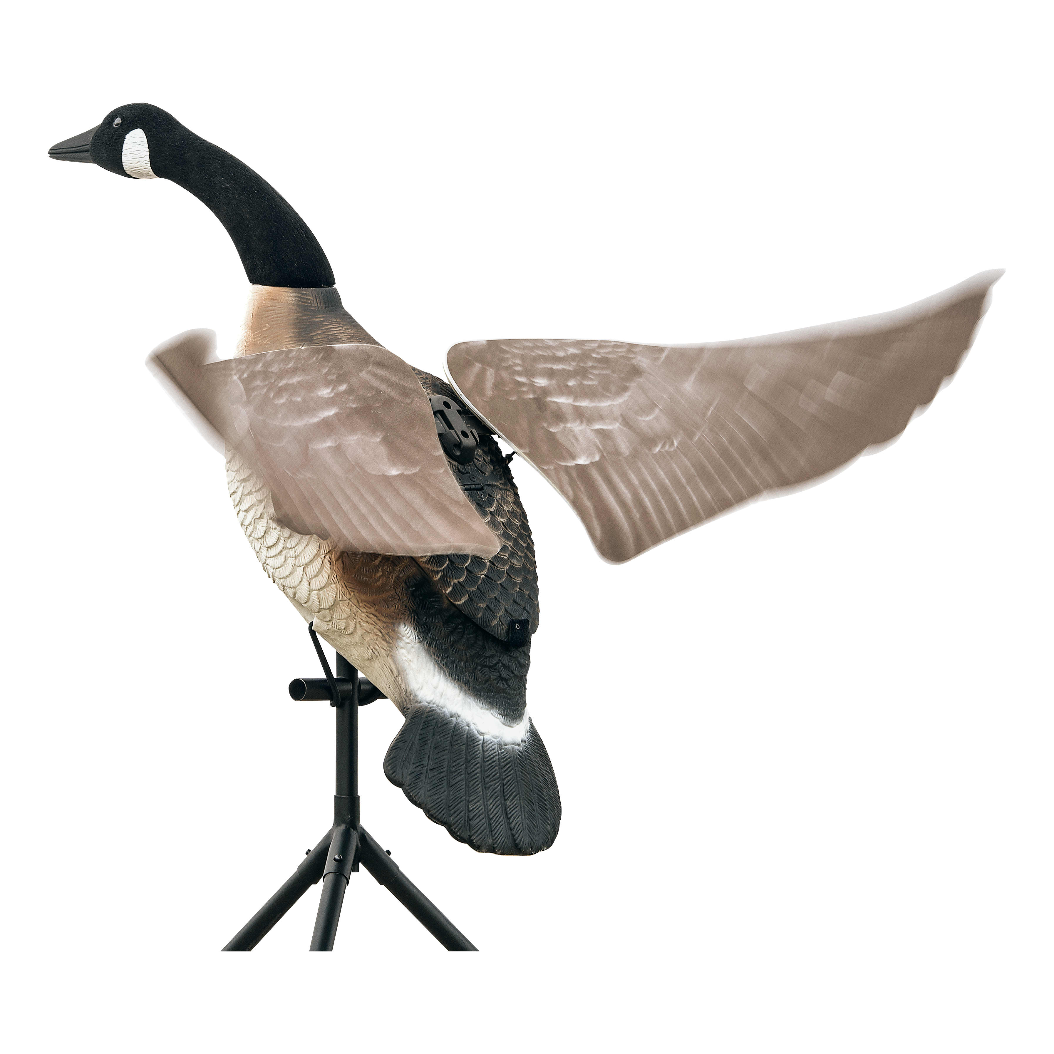 Lucky Duck™ Lucky Flapper Canada Goose Decoy Cabela's Canada