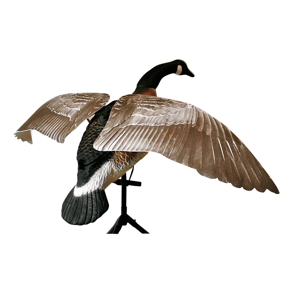Canada goose hot sale distributeur