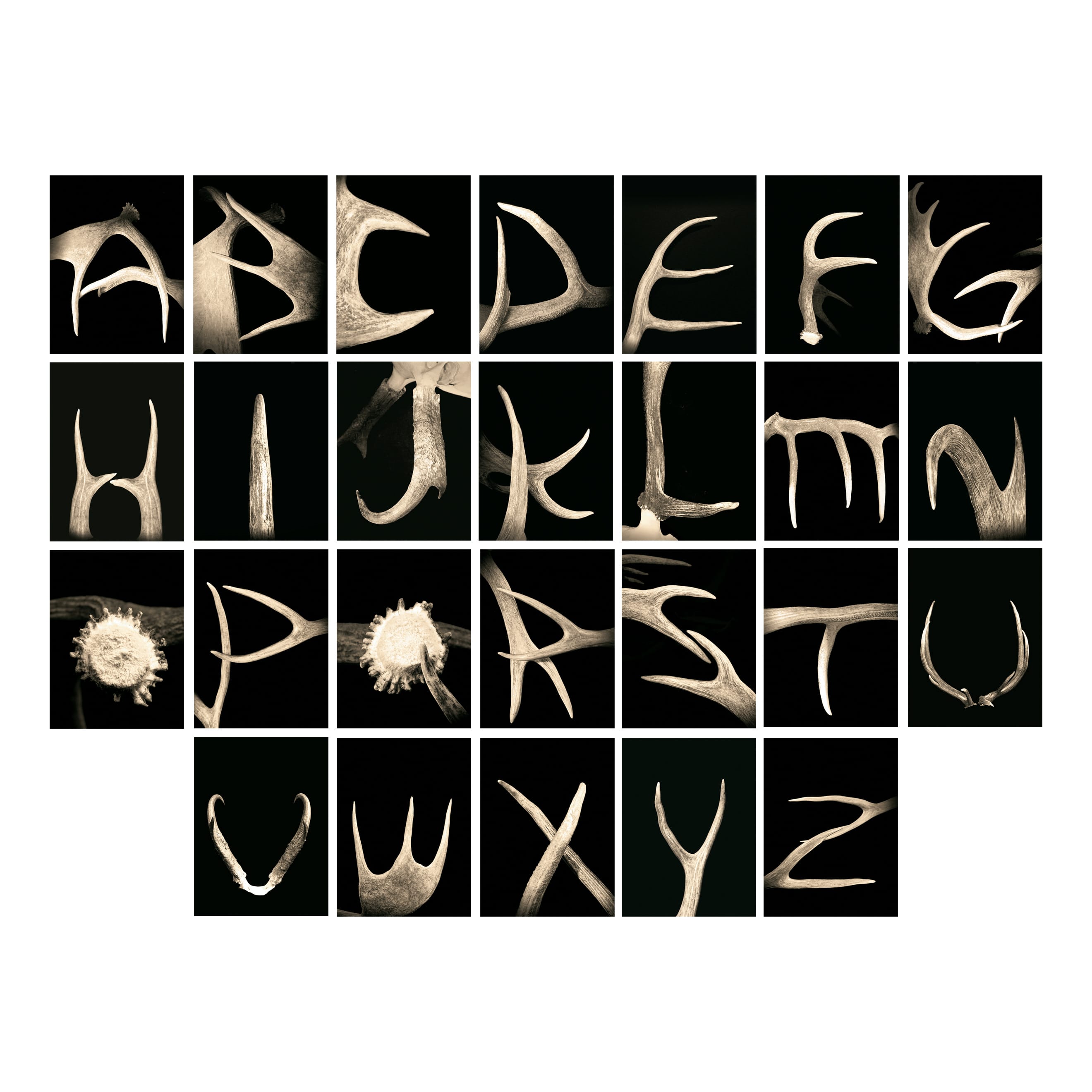 Scott Kennedy Personalized Framed Letter Prints - Antler Alphabet