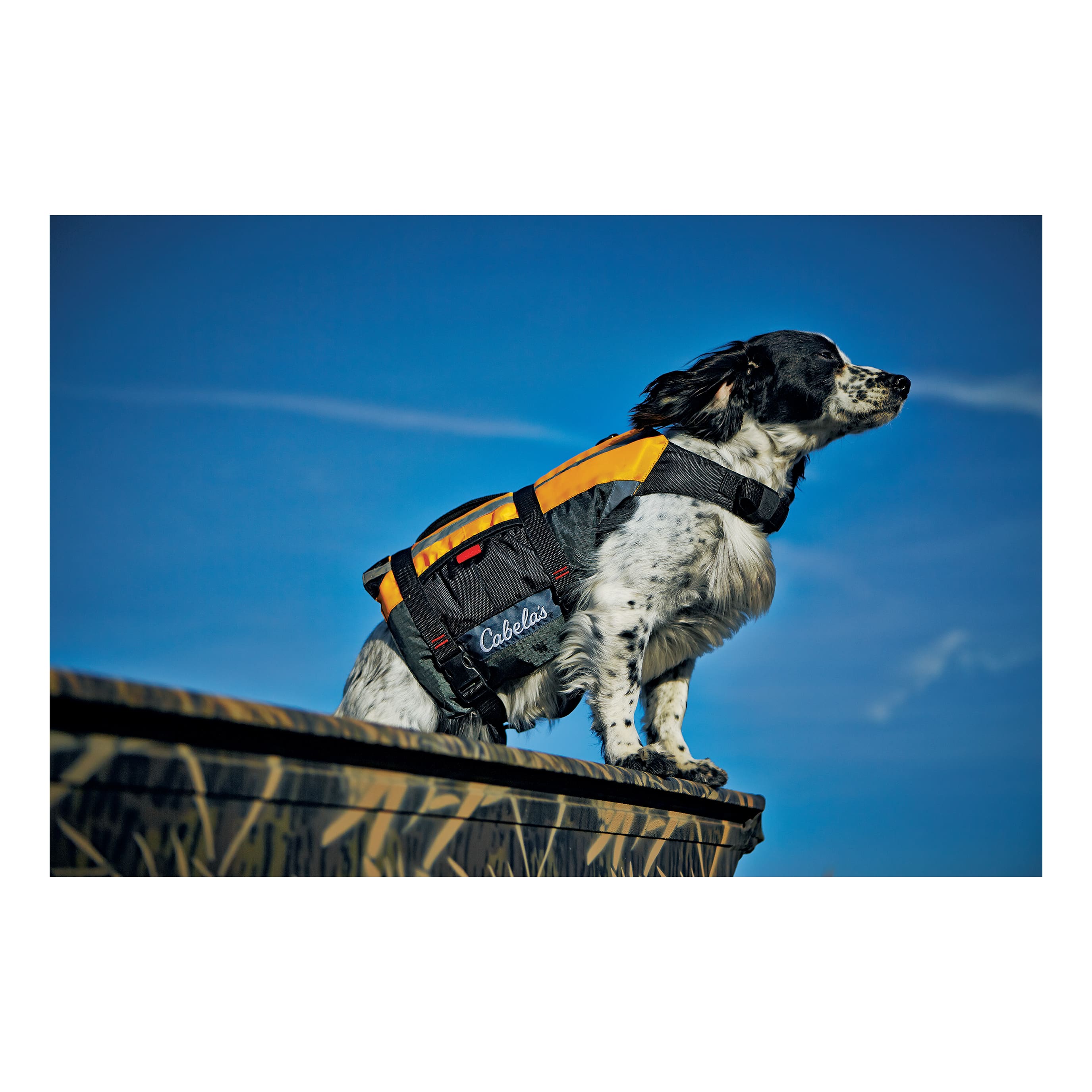 Cabela's Advanced Dog Flotation Vest - In the Field