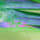 Green/Oil Slick