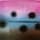 Rainbow Trout